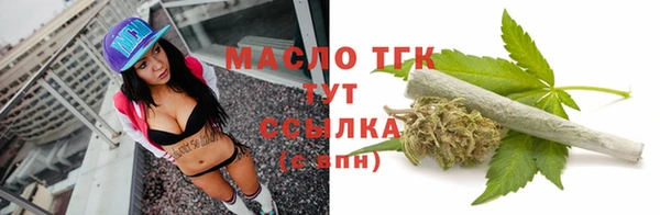 индика Бугульма