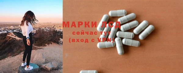 индика Бугульма