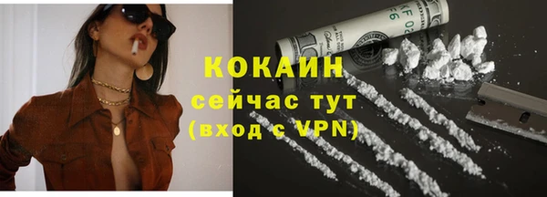 индика Бугульма