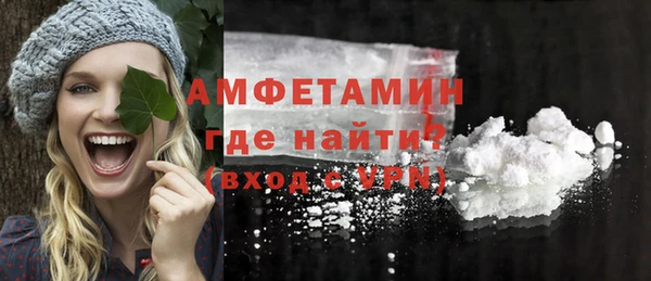 индика Бугульма