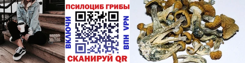 Галлюциногенные грибы мицелий Люберцы